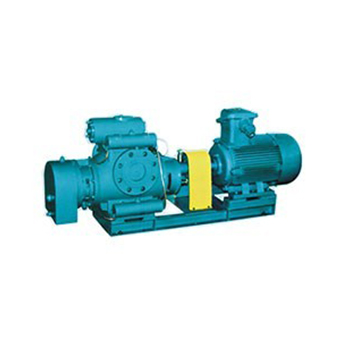 2MPS oil and gas mixed twin screw pump